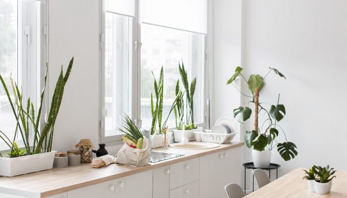Eco-friendly kitchen – ideas for design, materials and decoration