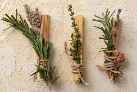 How to dry herbs?