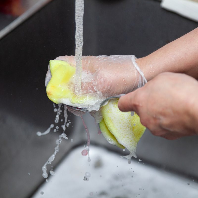 How to store teddy bears? Goodieslover